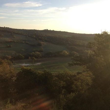 Le Tartarughe Rooms Magliano in Toscana Εξωτερικό φωτογραφία