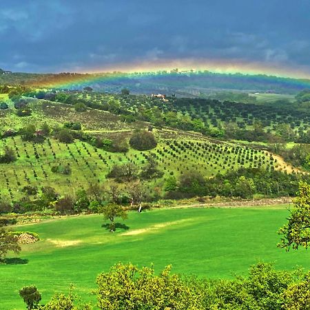 Le Tartarughe Rooms Magliano in Toscana Εξωτερικό φωτογραφία