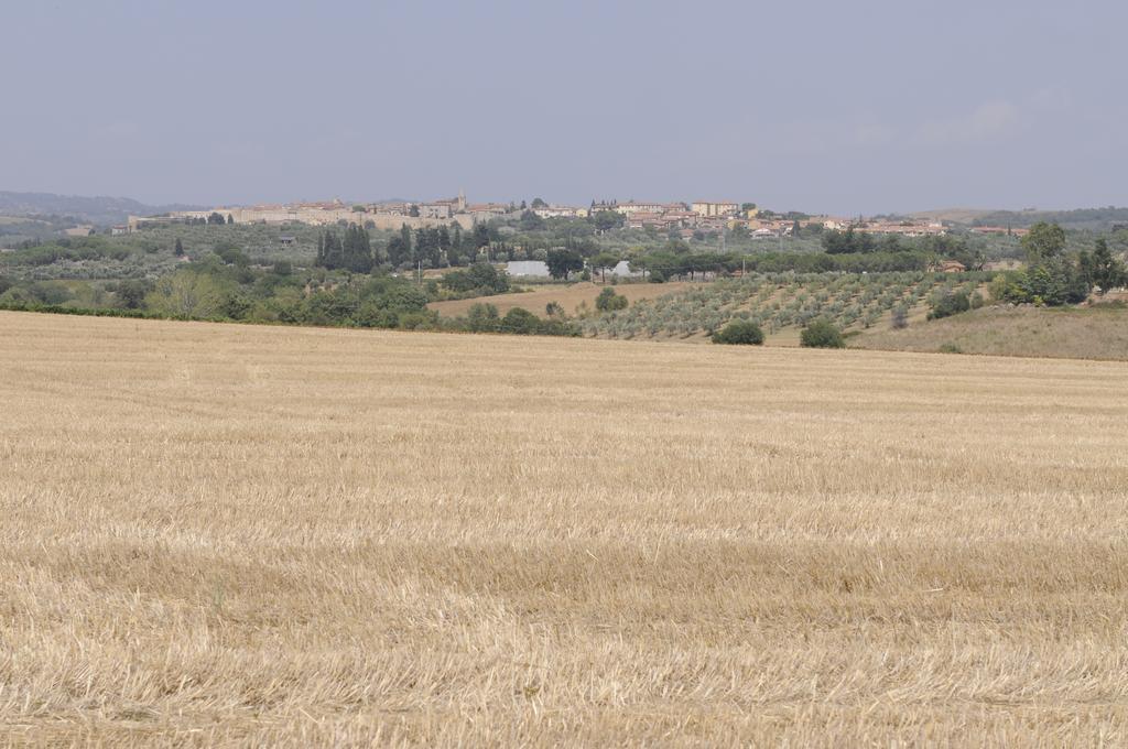Le Tartarughe Rooms Magliano in Toscana Εξωτερικό φωτογραφία