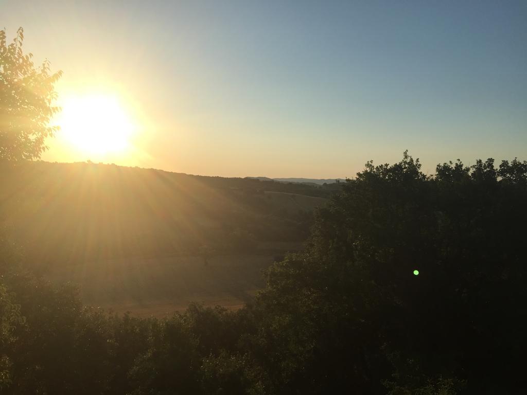 Le Tartarughe Rooms Magliano in Toscana Εξωτερικό φωτογραφία