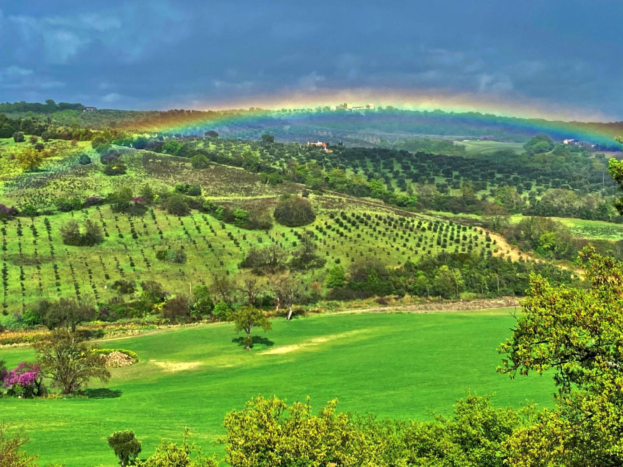 Le Tartarughe Rooms Magliano in Toscana Εξωτερικό φωτογραφία