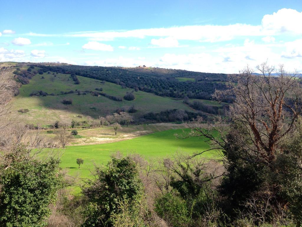 Le Tartarughe Rooms Magliano in Toscana Εξωτερικό φωτογραφία