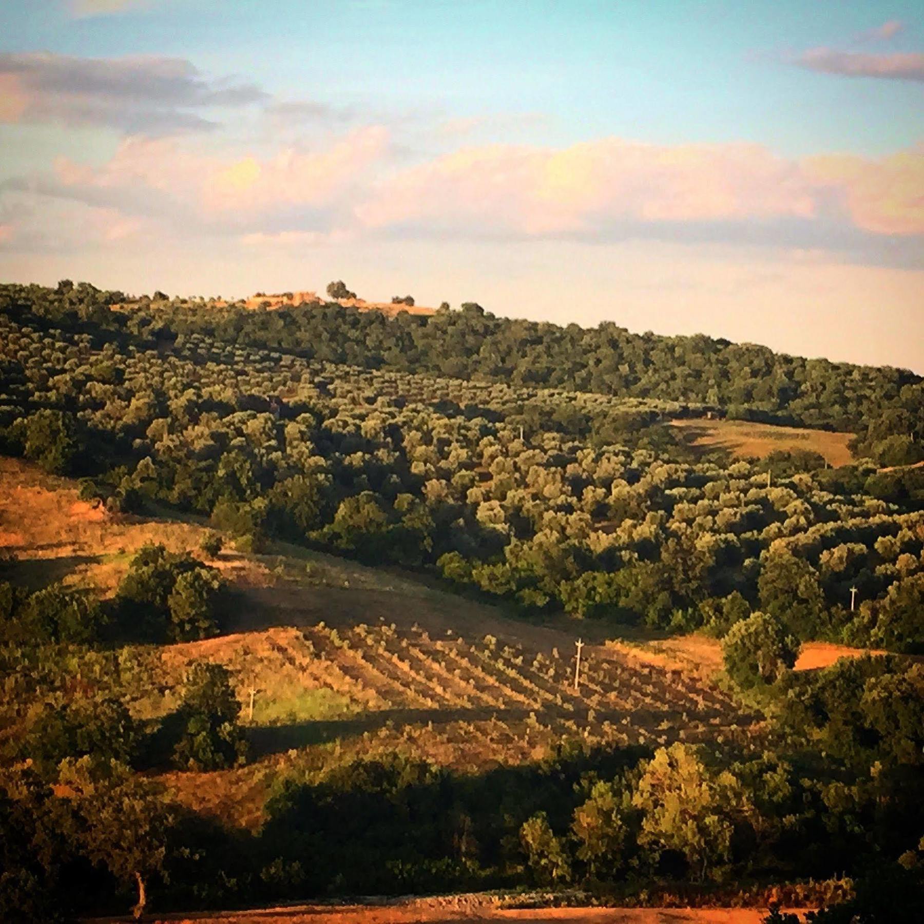Le Tartarughe Rooms Magliano in Toscana Εξωτερικό φωτογραφία