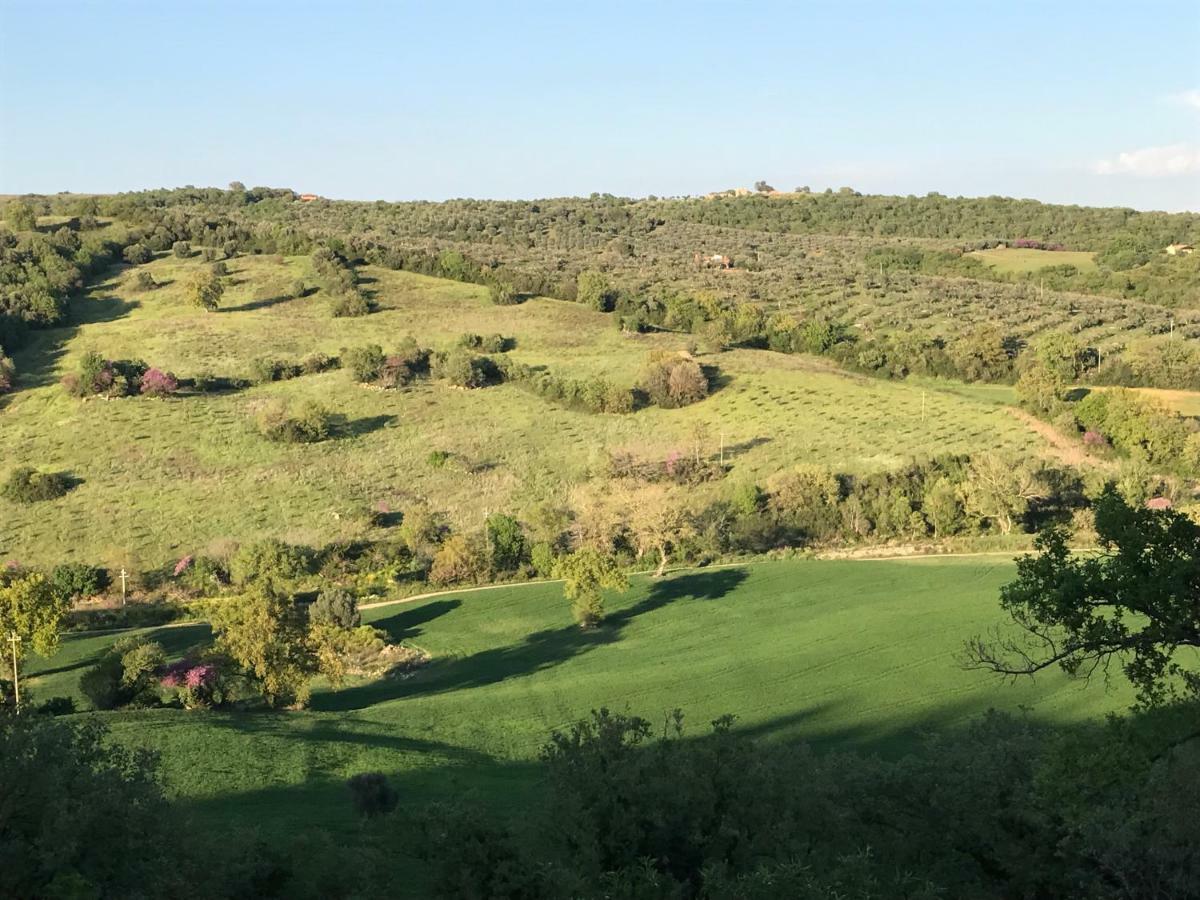 Le Tartarughe Rooms Magliano in Toscana Εξωτερικό φωτογραφία
