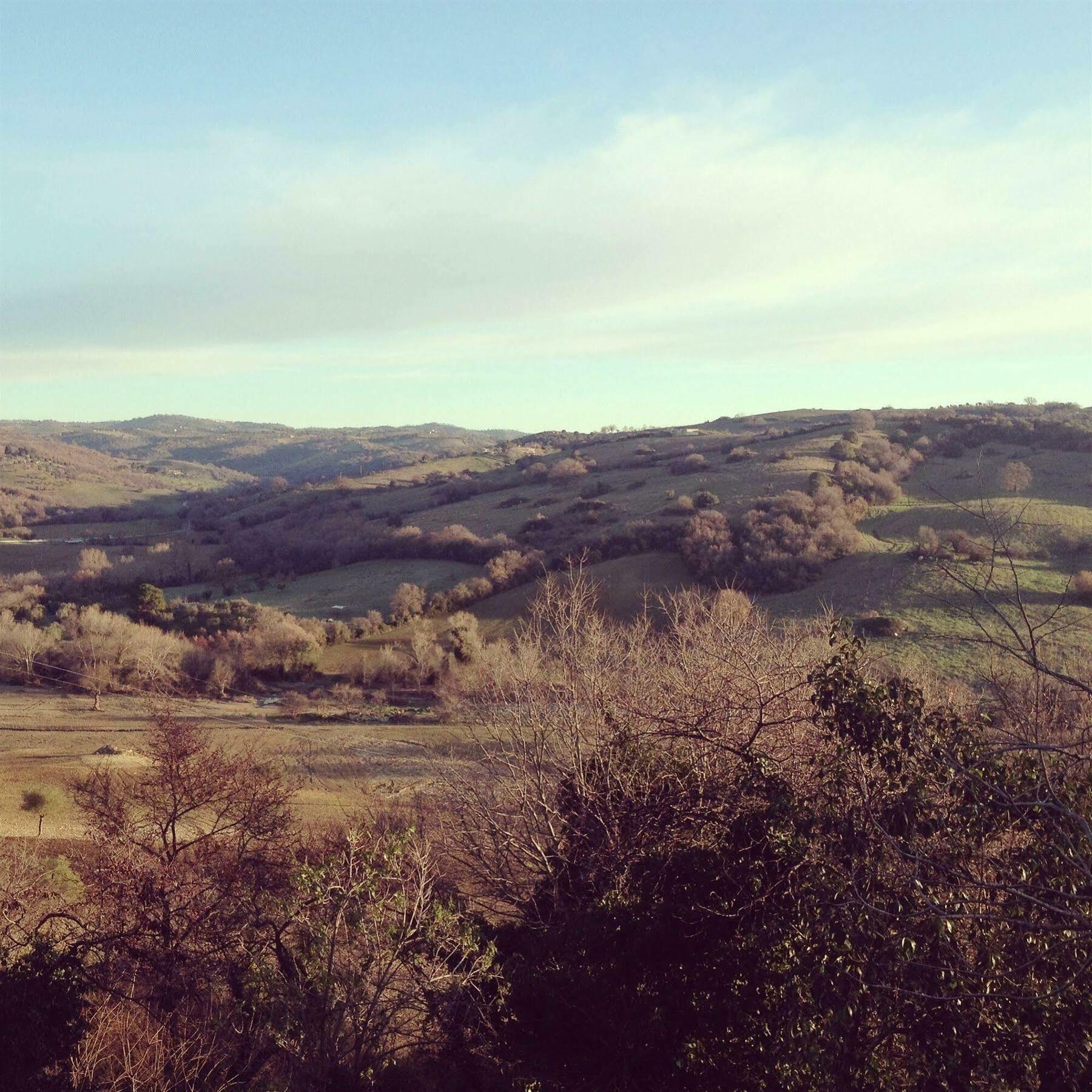 Le Tartarughe Rooms Magliano in Toscana Εξωτερικό φωτογραφία
